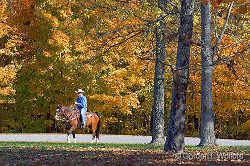 Equestrian Passerby_24649.jpg - Photographed along the Natchez Trace Parkway, Tennessee, USA.